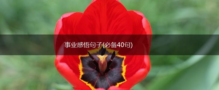 事业感悟句子(必备40句),第1张