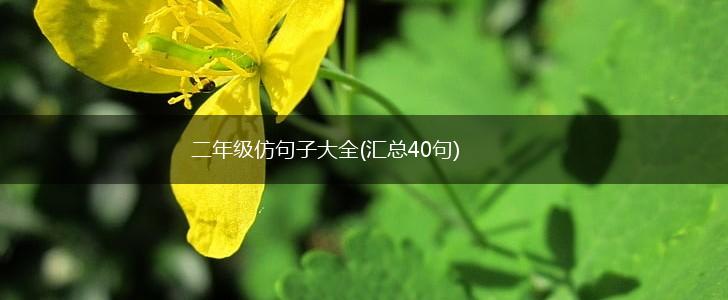 二年级仿句子大全(汇总40句),第1张