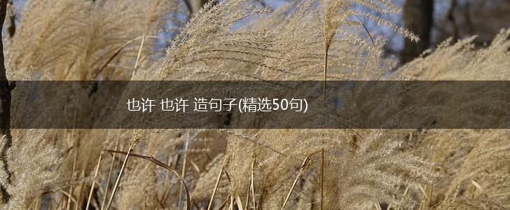 也许 也许 造句子(精选50句),第1张