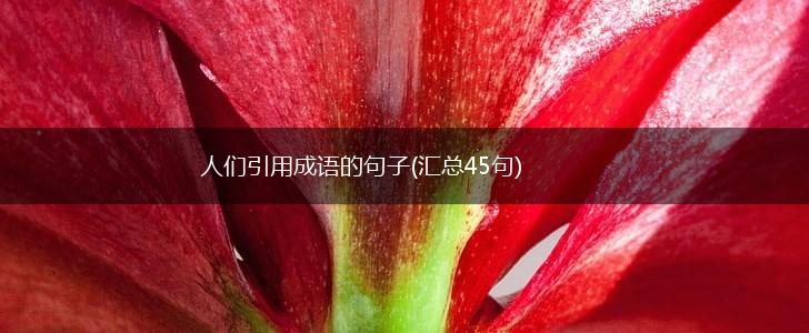 人们引用成语的句子(汇总45句),第1张