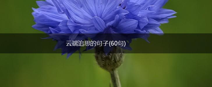 云端追思的句子(60句),第1张