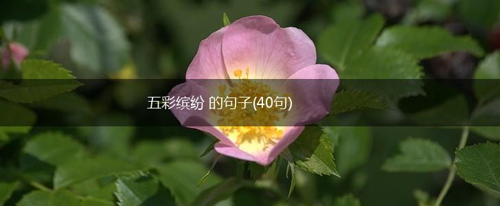 五彩缤纷 的句子(40句),第1张