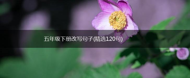 五年级下册改写句子(精选120句),第1张