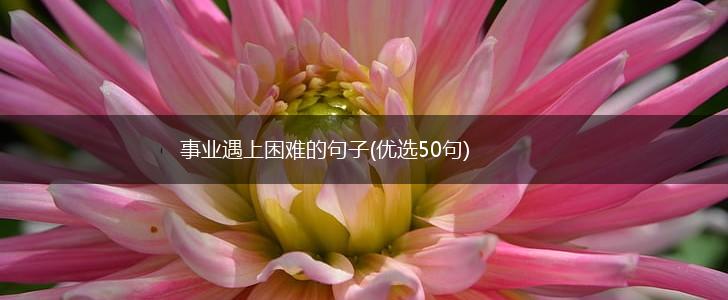 事业遇上困难的句子(优选50句),第1张