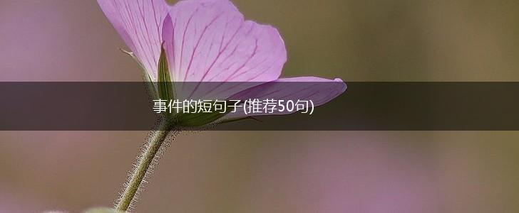 事件的短句子(推荐50句),第1张