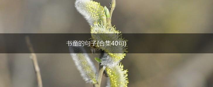 书童的句子(合集40句),第1张