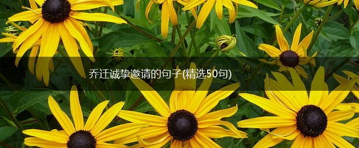 乔迁诚挚邀请的句子(精选50句),第1张