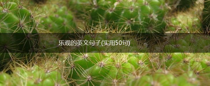 乐观的英文句子(实用50句),第1张