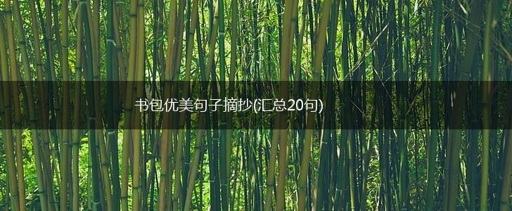 书包优美句子摘抄(汇总20句),第1张