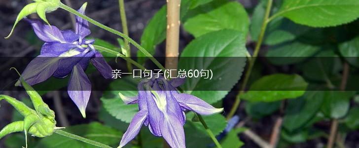 亲一口句子(汇总60句),第1张