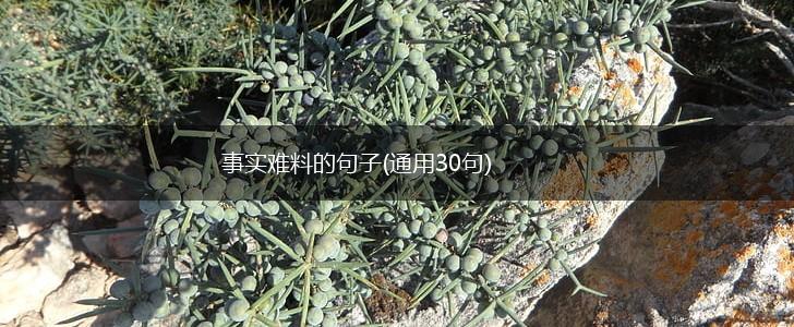 事实难料的句子(通用30句),第1张