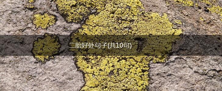 二胎好处句子(共10句),第1张