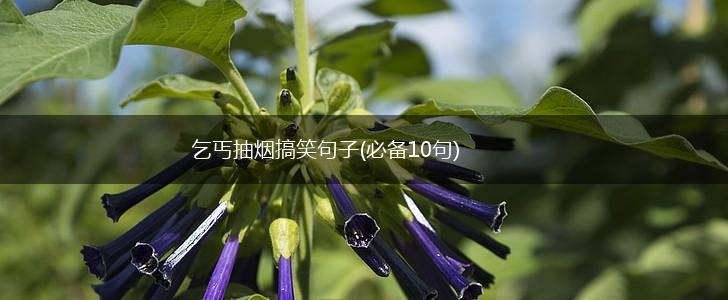 乞丐抽烟搞笑句子(必备10句),第1张