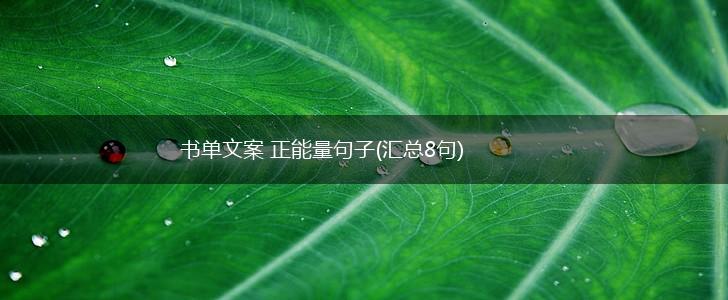 书单文案 正能量句子(汇总8句),第1张