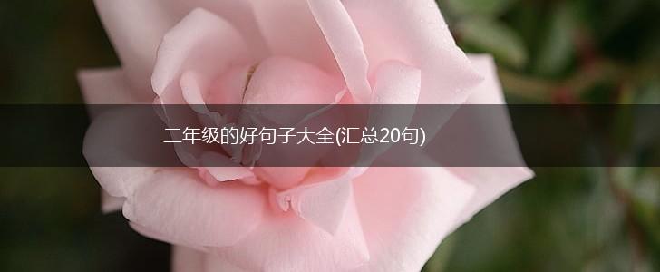 二年级的好句子大全(汇总20句),第1张