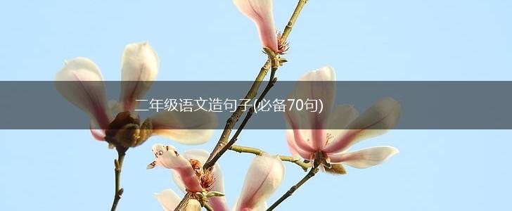 二年级语文造句子(必备70句),第1张
