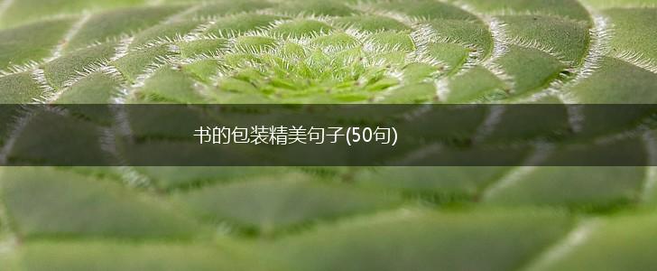 书的包装精美句子(50句),第1张