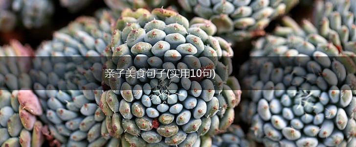 亲子美食句子(实用10句),第1张