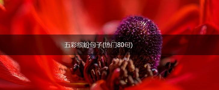 五彩缤纷句子(热门80句),第1张