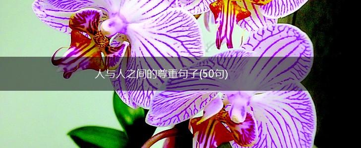 人与人之间的尊重句子(50句),第1张