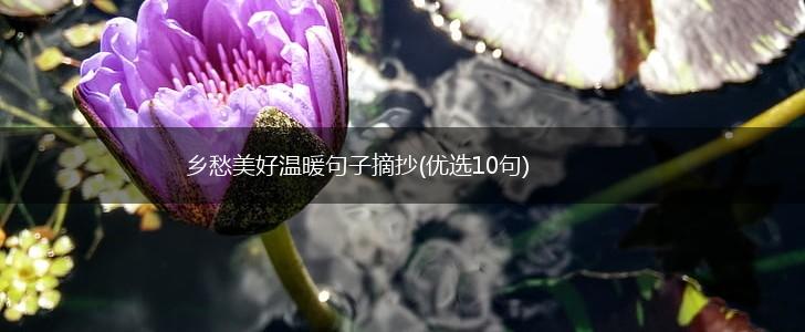 乡愁美好温暖句子摘抄(优选10句),第1张