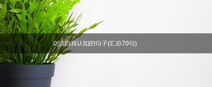 交流自我认知的句子(汇总70句),第1张