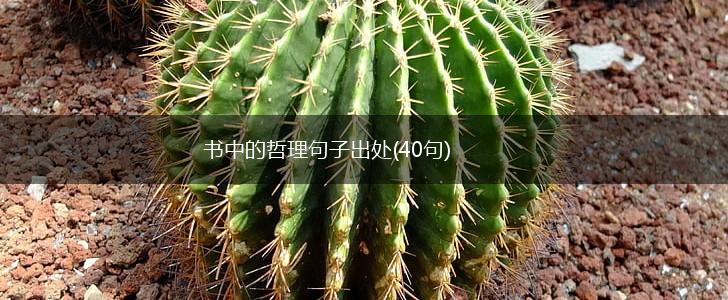 书中的哲理句子出处(40句),第1张