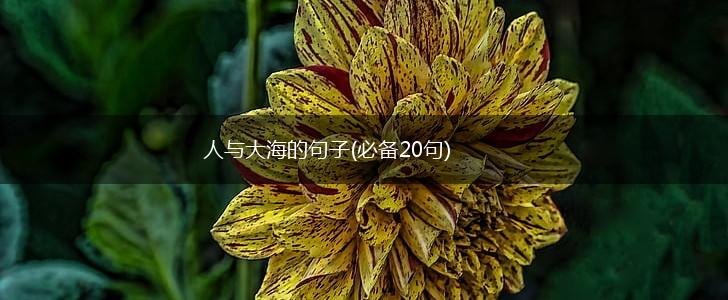 人与大海的句子(必备20句),第1张
