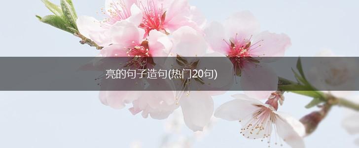 亮的句子造句(热门20句),第1张
