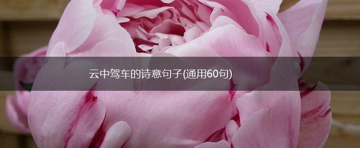 云中驾车的诗意句子(通用60句),第1张