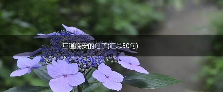 互道晚安的句子(汇总50句),第1张