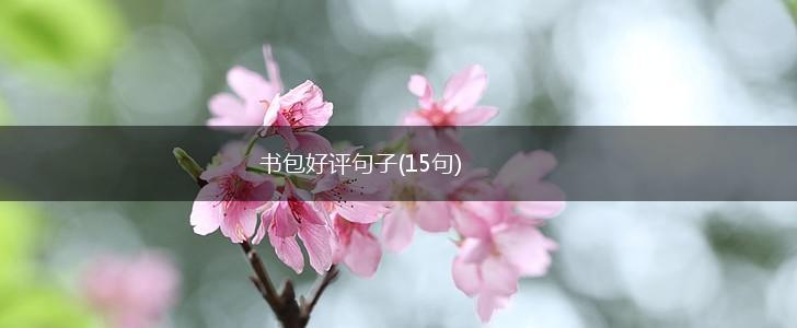 书包好评句子(15句),第1张