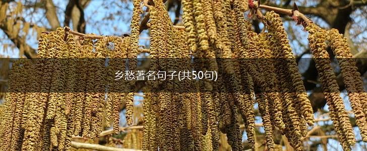 乡愁著名句子(共50句),第1张