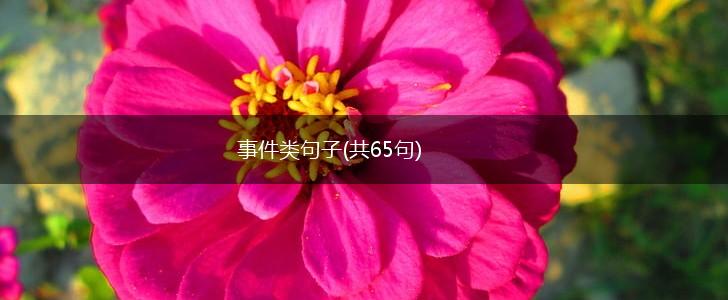 事件类句子(共65句),第1张