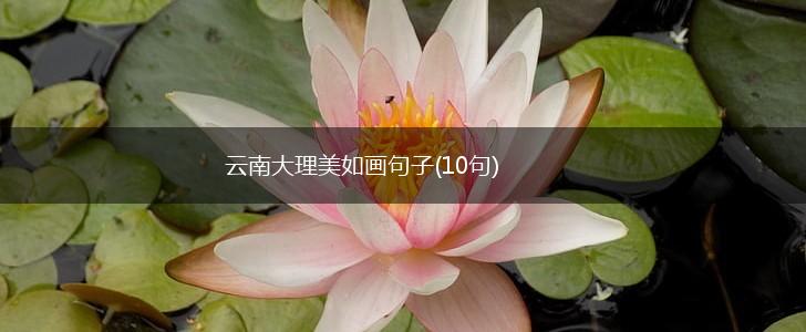 云南大理美如画句子(10句),第1张