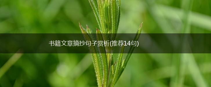 书籍文章摘抄句子赏析(推荐14句),第1张