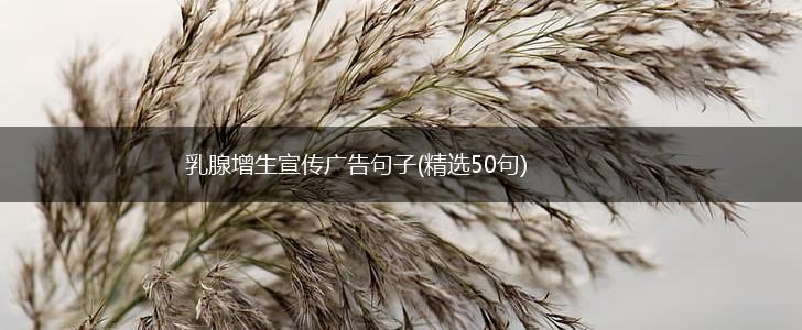 乳腺增生宣传广告句子(精选50句),第1张
