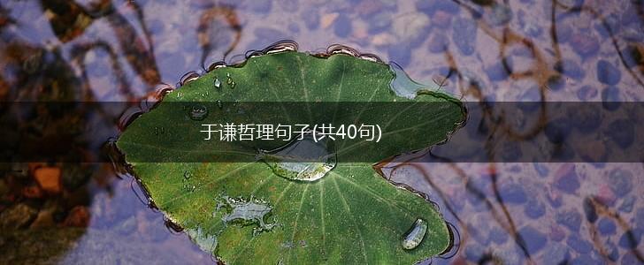 于谦哲理句子(共40句),第1张