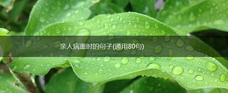 亲人病重时的句子(通用80句),第1张