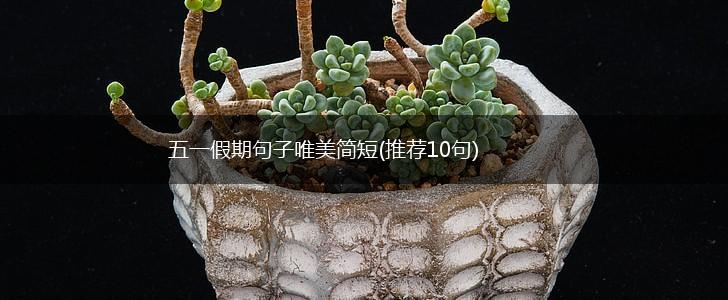 五一假期句子唯美简短(推荐10句),第1张
