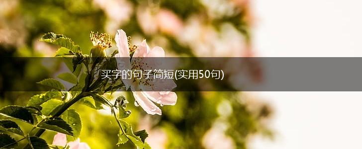 买字的句子简短(实用50句),第1张