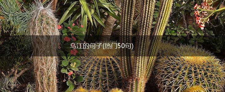 乌江的句子(热门50句),第1张