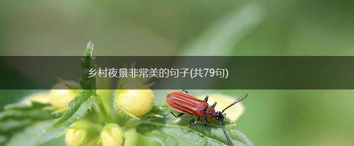 乡村夜景非常美的句子(共79句),第1张