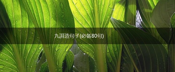 九湃造句子(必备80句),第1张