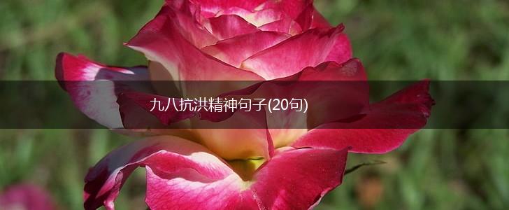 九八抗洪精神句子(20句),第1张