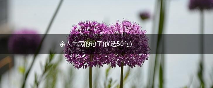 亲人生病的句子(优选50句),第1张