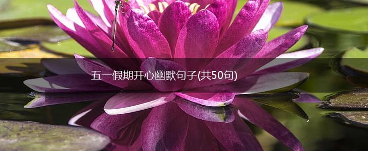 五一假期开心幽默句子(共50句),第1张