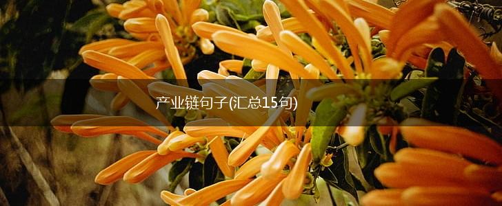 产业链句子(汇总15句),第1张