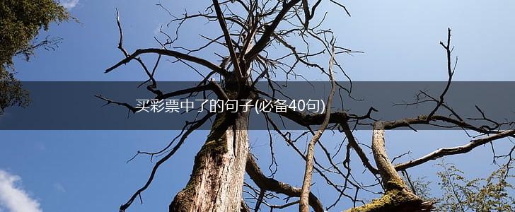 买彩票中了的句子(必备40句),第1张