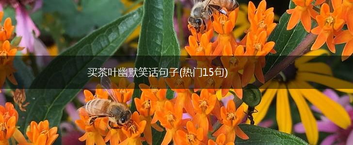 买茶叶幽默笑话句子(热门15句),第1张